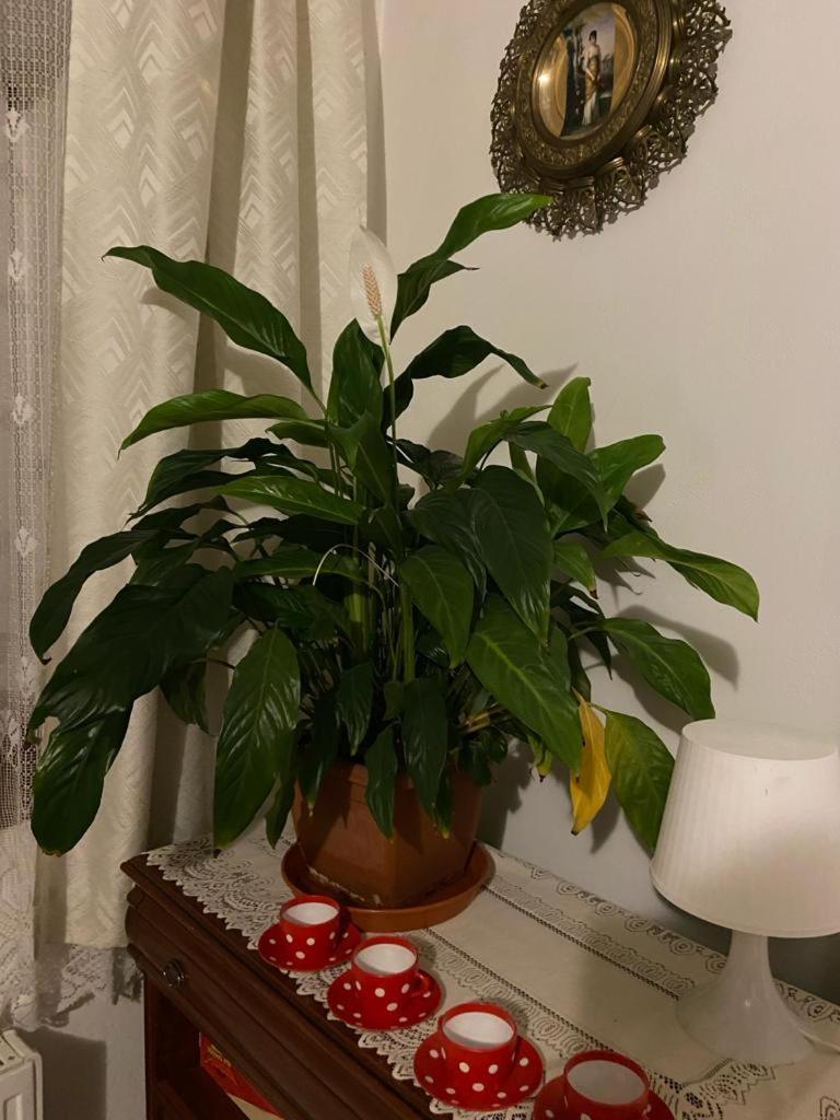 ליברץ Apartmany Friday מראה חיצוני תמונה