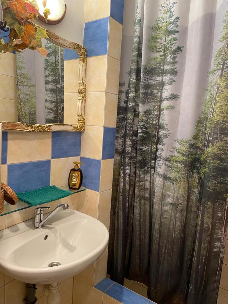 ליברץ Apartmany Friday מראה חיצוני תמונה